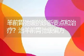 羊前胃弛缓的诊断要点和治疗？治羊前胃弛缓偏方