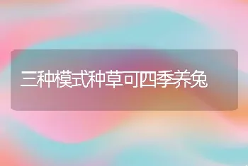 三种模式种草可四季养兔