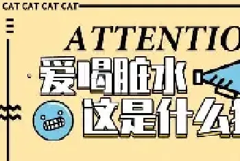 猫咪爱喝脏水，这是什么原因？