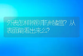 外表怎样辨别非洲猪瘟？从表面能看出来么？