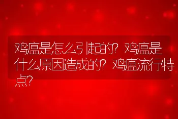 鸡瘟是怎么引起的？鸡瘟是什么原因造成的？鸡瘟流行特点？