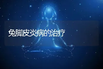 兔脚皮炎病的治疗