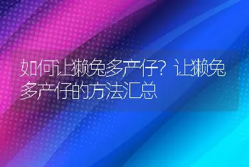 鸡马立克氏病是由什么引起的？鸡马立克氏病吃什么药？