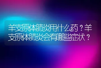 羊支原体肺炎用什么药？羊支原体肺炎会有哪些症状？