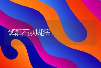 鹌鹑石灰脚病