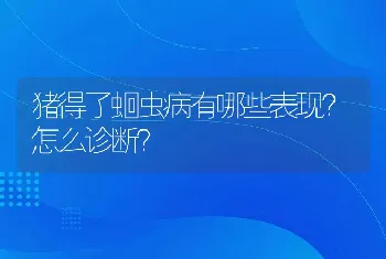 猪得了蛔虫病有哪些表现？怎么诊断？