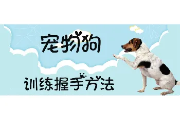 宠物狗训练握手方法