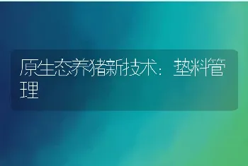 原生态养猪新技术：垫料管理