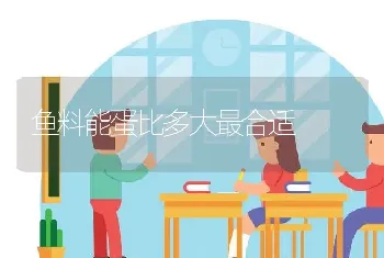 鱼料能蛋比多大最合适