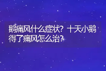 鹅痛风什么症状？十天小鹅得了痛风怎么治？