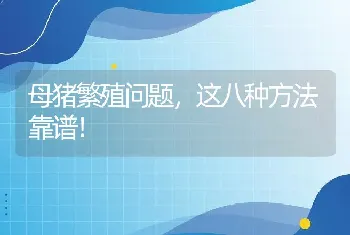 母猪繁殖问题，这八种方法靠谱！