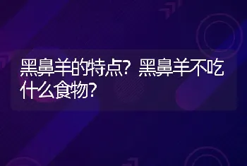 黑鼻羊的特点？黑鼻羊不吃什么食物？