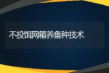 不投饵网箱养鱼种技术