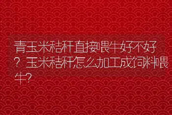 青玉米秸秆直接喂牛好不好？玉米秸秆怎么加工成饲料喂牛？