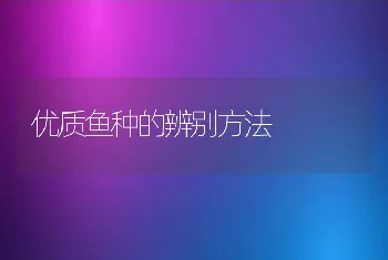 优质鱼种的辨别方法