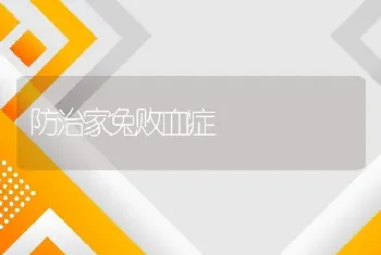 防治家兔败血症