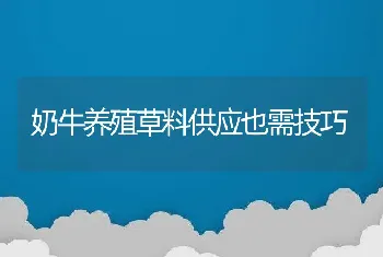 奶牛养殖草料供应也需技巧