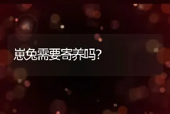 崽兔需要寄养吗？