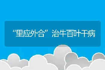 “里应外合”治牛百叶干病