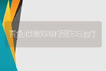 青鱼池塘疾病的预防与治疗