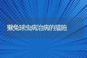 獭兔球虫病治病的措施