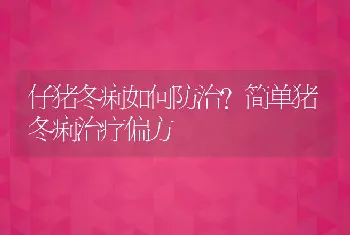 仔猪冬痢如何防治？简单猪冬痢治疗偏方