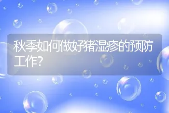 秋季如何做好猪湿疹的预防工作？