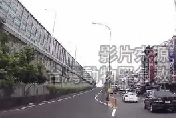 黑色猫咪灵异事件 交通道路凭空出现险被辗毙