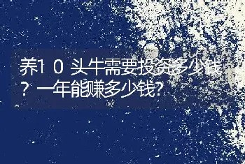 养10头牛需要投资多少钱？一年能赚多少钱？