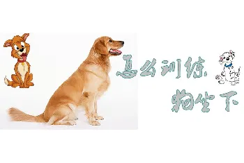 怎么训练狗坐下