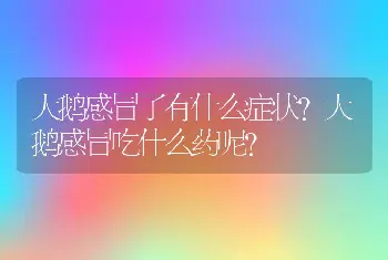 大鹅感冒了有什么症状？大鹅感冒吃什么药呢？