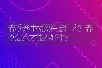 春季养牛需要注意什么？春季怎么才能养好牛？