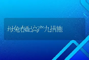 母兔春配高产九措施