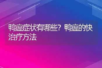 鸭瘟症状有哪些？鸭瘟的快治疗方法