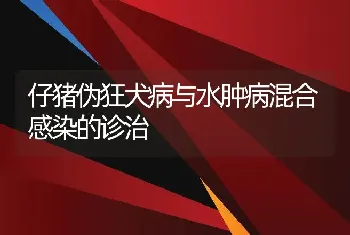 仔猪伪狂犬病与水肿病混合感染的诊治