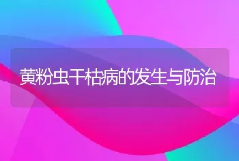 黄粉虫干枯病的发生与防治