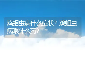 鸡蛔虫病什么症状？鸡蛔虫病喂什么药？