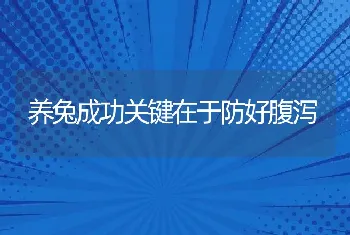 养兔成功关键在于防好腹泻