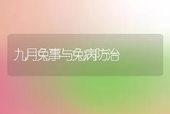 九月兔事与兔病防治