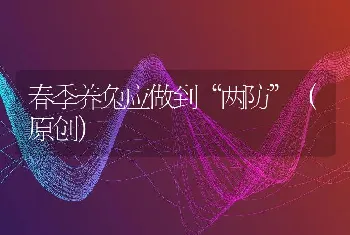 春季养兔应做到“两防”（原创）