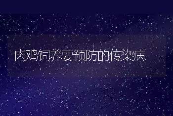 兔全价颗粒饲料制作