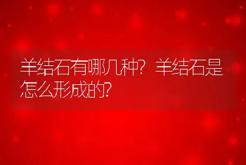 羊结石有哪几种?羊结石是怎么形成的?