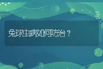 兔球虫病如何防治？