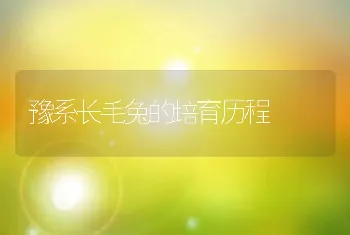 豫系长毛兔的培育历程