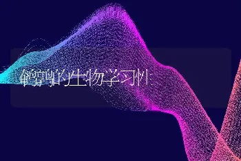 鹌鹑的生物学习性