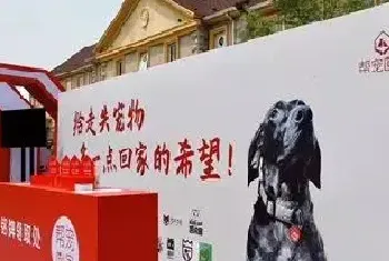 宠物丢失已成全民痛点,科技手段帮助爱宠回家