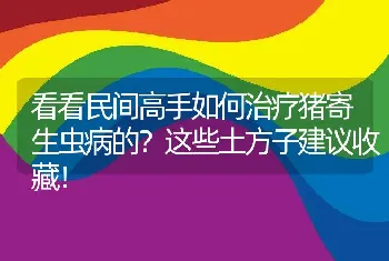 看看民间高手如何治疗猪寄生虫病的？这些土方子建议收藏！