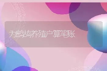 为鹧鸪养殖户算笔账