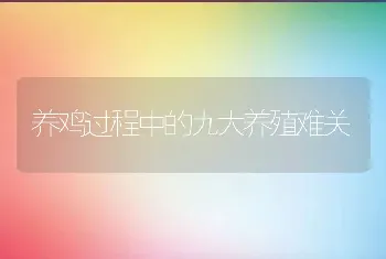 养鸡过程中的九大养殖难关