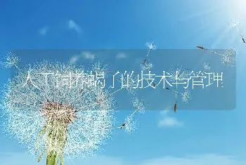 长毛兔“拔毛综合症”的防治